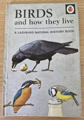 Birds and how they - they, live