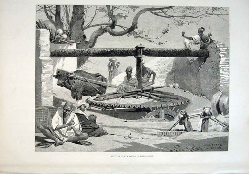 Original old antique print - original,