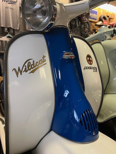 Wildcat 1960s sticker - , new