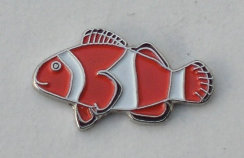 Clownfish nemo quality - 'nemo',
