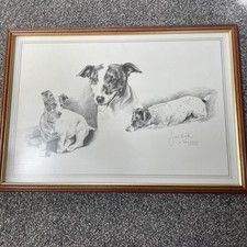 Jack Russell Framed Signed Print By Joel Kirk Large 36cm X 50cm Approx