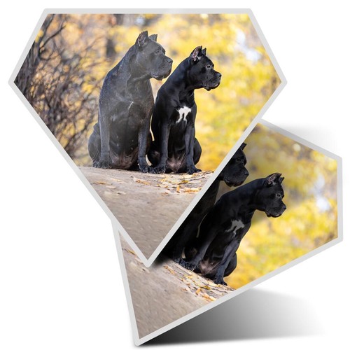 Diamond shape vinyl - diamond,