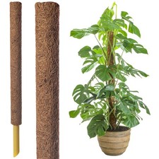 45cm Coir Moss Pole –