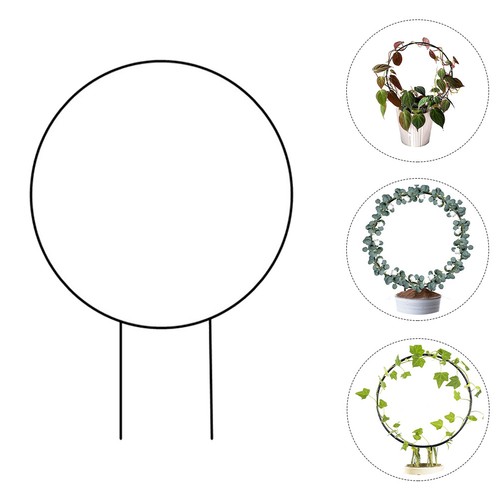 Vine climbing rack - vine,