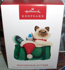 Mischievous Kittens`2023`What