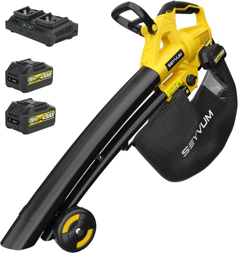Leaf blower and - leaf,