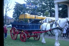  35mm Slide Tetley Dray Waggon