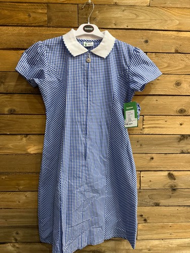Blue girls banner gingham - blue,