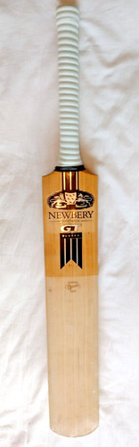 Newbery 335 player - gt,