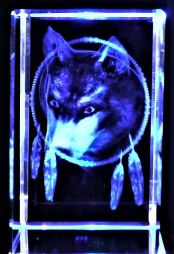 Wolf head dreamcatcher - wolf,