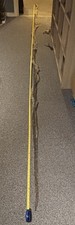 FULL Burmese Python Snake Shed
