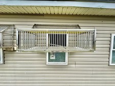 Stainless steel Racing Pigeon