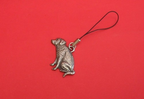 Labrador retriever pewter - retriever,