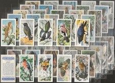 BROOKE BOND (TEA)-FULL SET- BIRD PORTRAITS 1957 (NO ADDRESS 50 CARDS) EXCELLENT