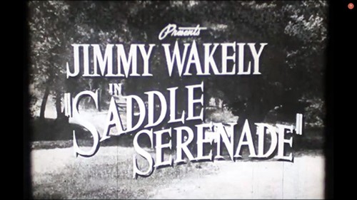 Saddle serenade 1x2100ft reel - serenade,