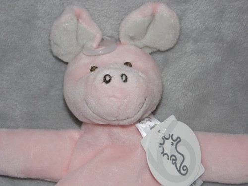 Happy horse pig baby - pig,