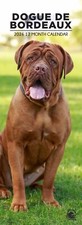 Dogue De Bordeaux Dog 2026