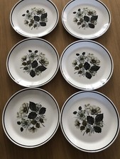 Johnson Brothers ‘Wildmoor’ 7” Side Plates x6 Vintage Retro