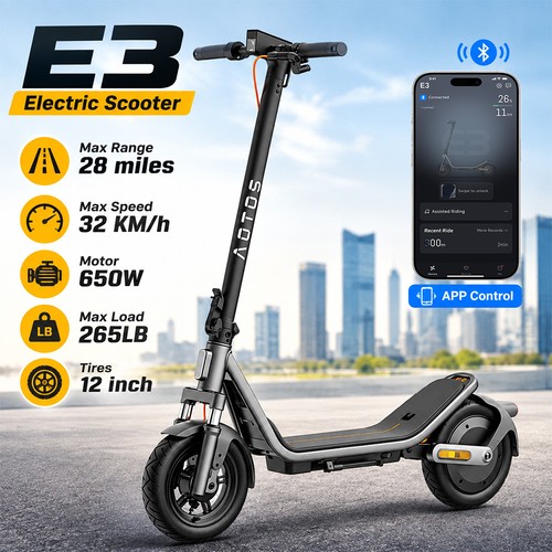 650w electric scooter for - 650w,