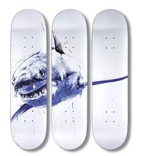 Dave White APEX SKATE DECK TRIPTYCH