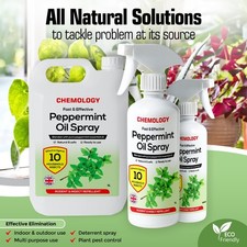 100 natural peppermint oil - peppermint,