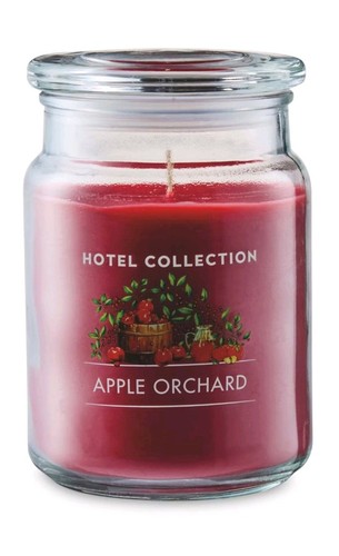 Hotel collection aplle - hotel,