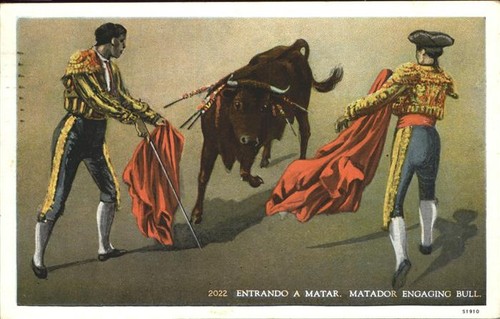 Bullfighting matar matador - bullfighting,