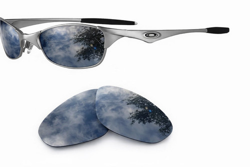 Newpolar replacement polarized - newpolar,