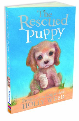 The rescued puppy holly - puppy, webb