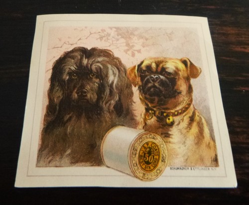 Victorian trade card - victorian, p