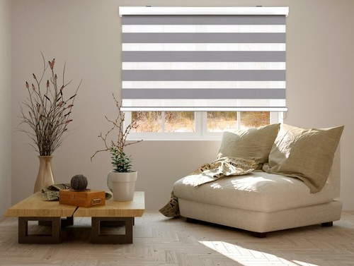 Zebra vision day - day, night