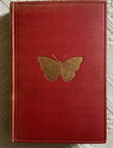 Butterflies and moths w - and,