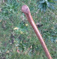 Vintage Wooden Hedge Cut High