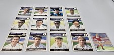 Tottenham Hotspur PANINI
