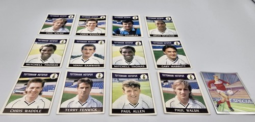 Tottenham hotspur panini - tottenham,