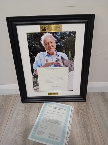 David attenborough handwritten - david,
