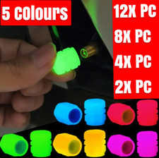 2x - 12x Luminous Tire Valve