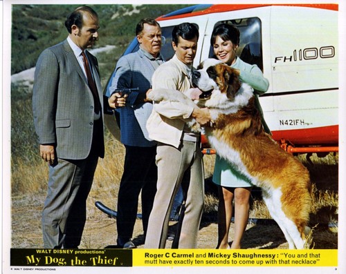 Dog the thief 1969 - dog,,