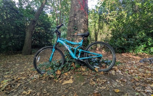 Kids mountain bike hyper - kids,