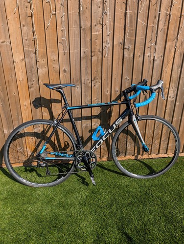 Focus culebro road bike - focus,