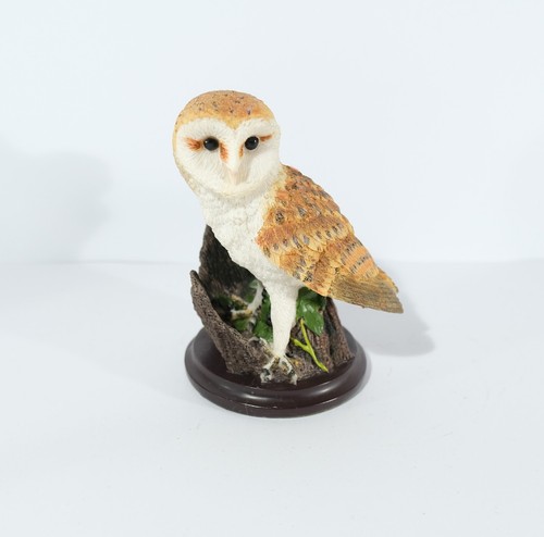 Andy pearce barn owl - andy,