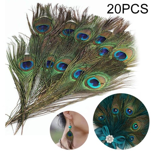 80cm long natural peacock - long,