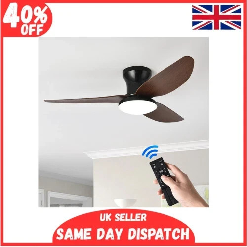 Modern ceiling fan - ceiling, with