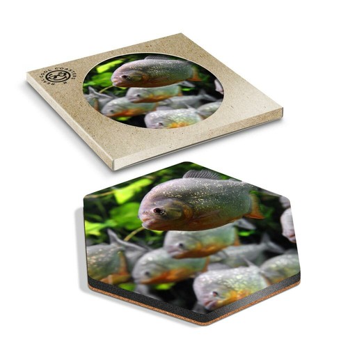 Hexagon coaster aquarium - x,