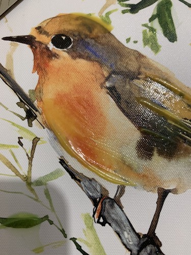 Two pretty little bird - two,