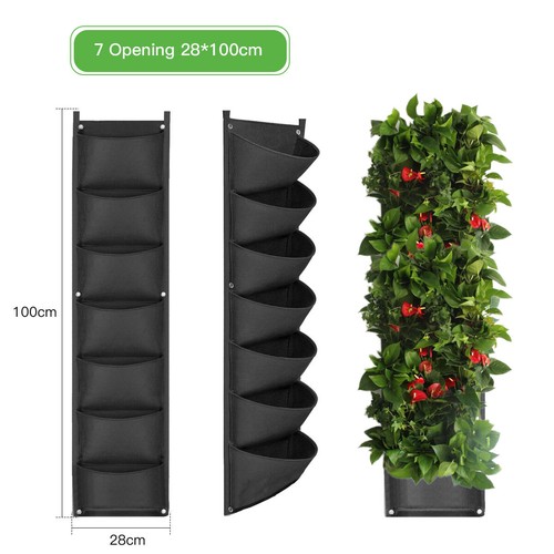 Pockets strawberry planting - 7,