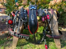 Leaders Trade/Gypsy Carriage