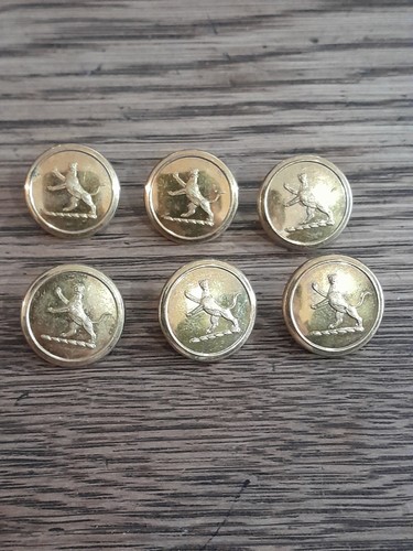 Antique livery button - 6,