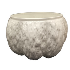 Coalport Countryware Nut /