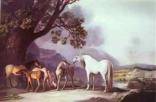 George Stubbs A4 Photo mares and foals in a mountainous landscape